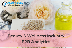 Beauty and Wellness Industry: B2B Analytics and its Scope in Industry